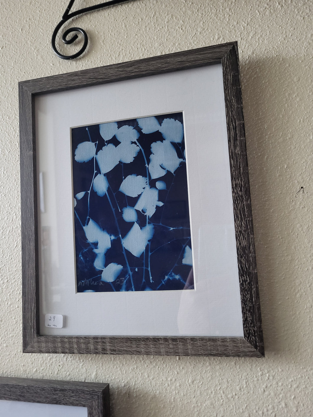 Cyanotype Image