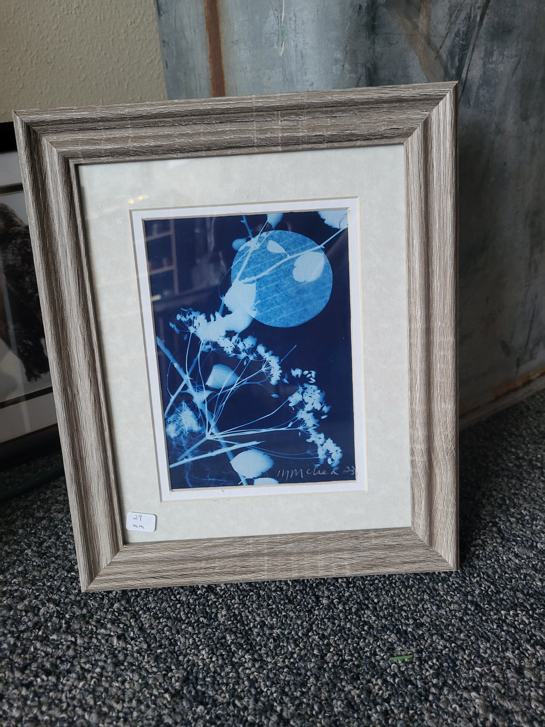 Cyanotype Image 2