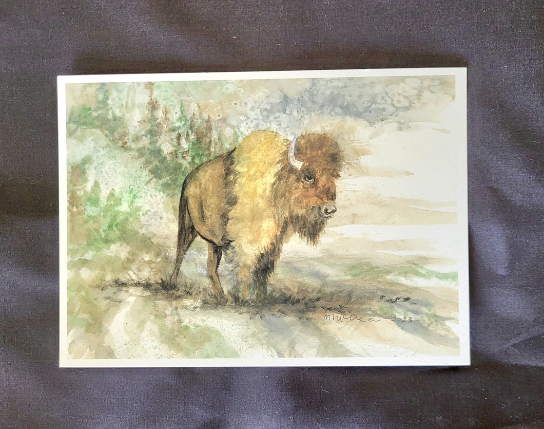 American Bison Watercolor